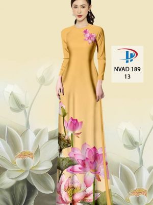 1621920068 309 vai ao dai (12)